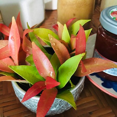 Mae-Sa-Riang Home Mae Sariang Dış mekan fotoğraf