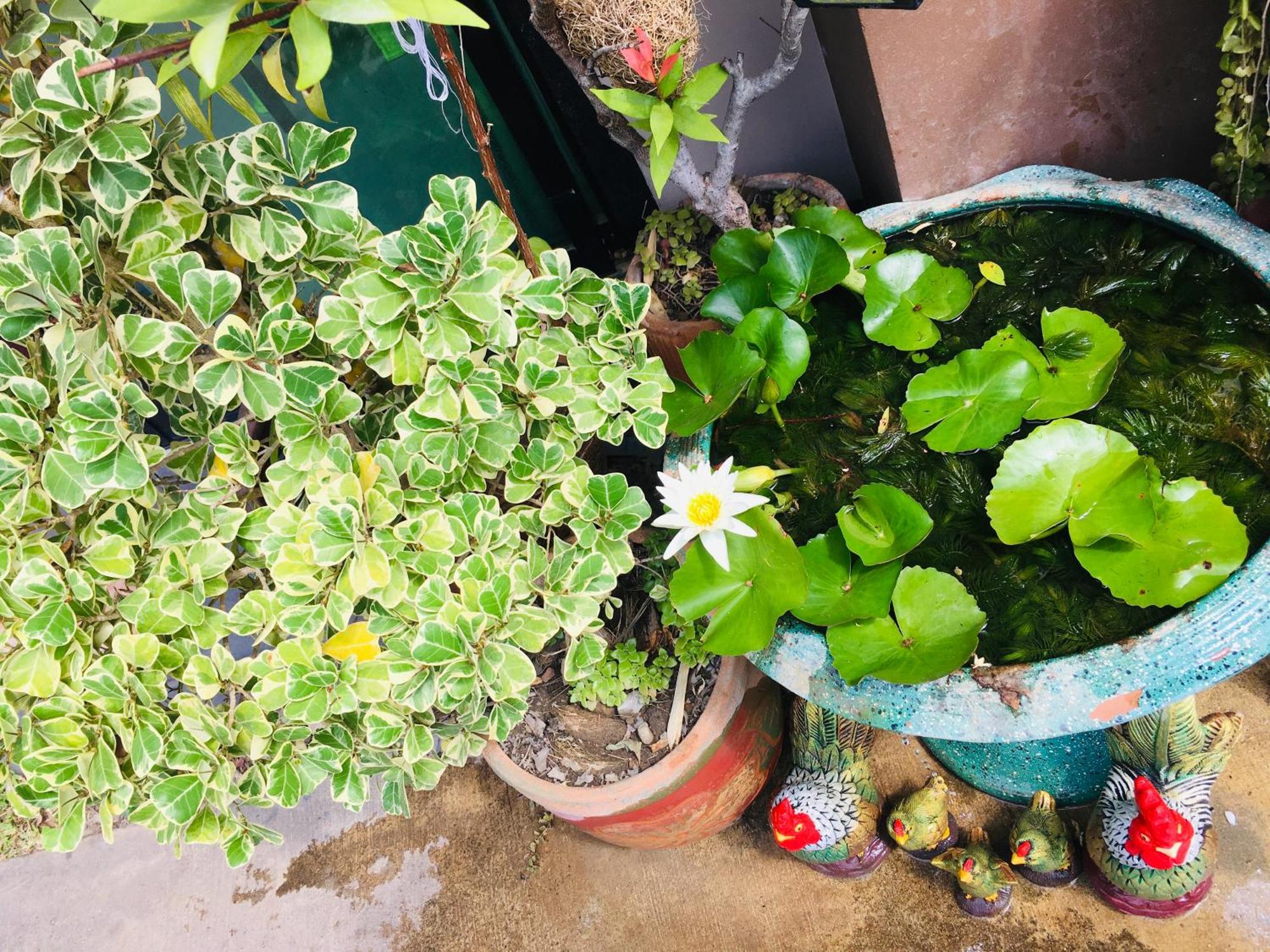 Mae-Sa-Riang Home Mae Sariang Dış mekan fotoğraf