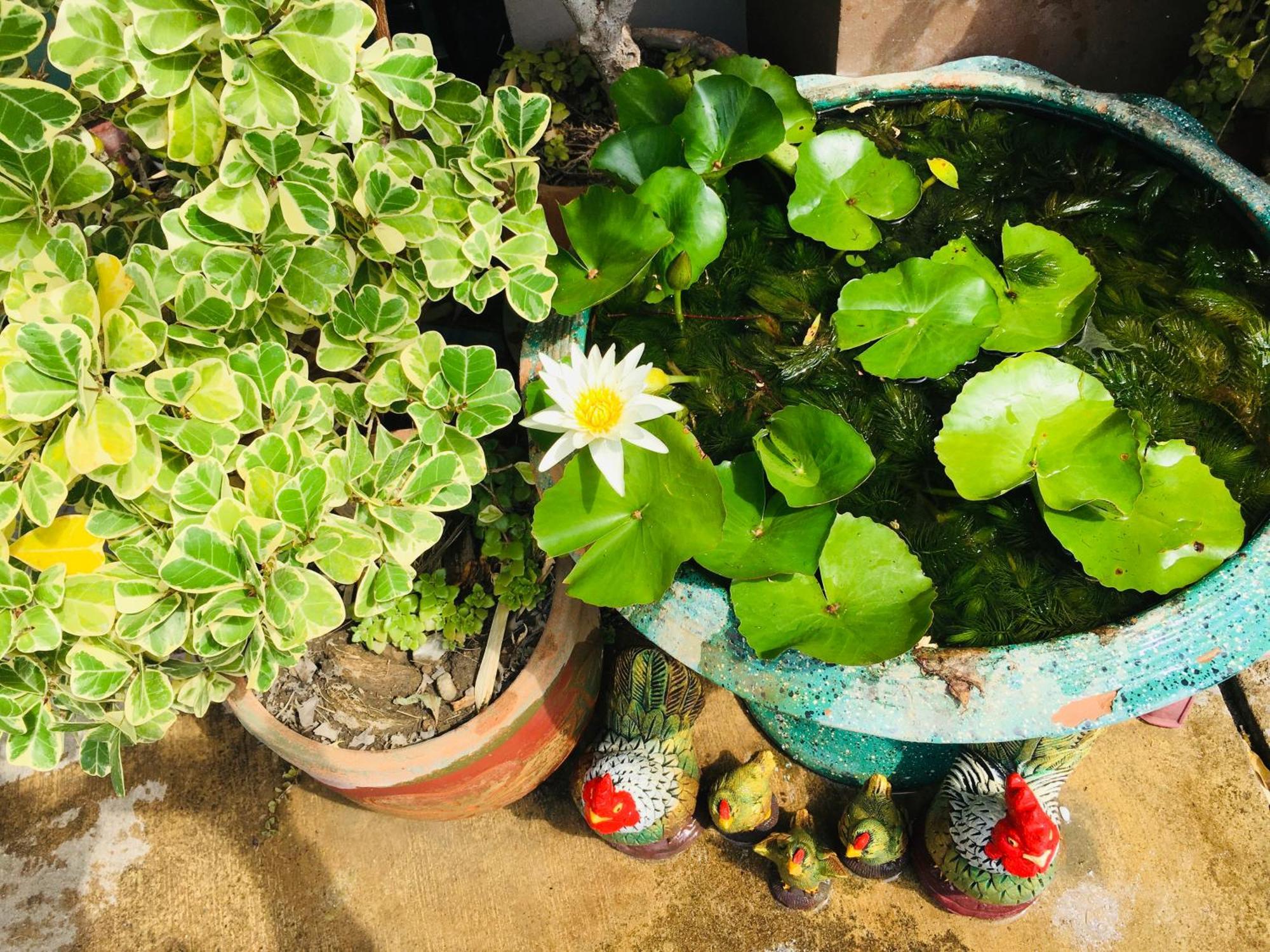 Mae-Sa-Riang Home Mae Sariang Dış mekan fotoğraf
